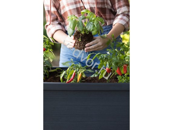 Кашпо-Грядка keter ALFRESCO GARDEN BED графит