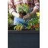 Кашпо-Грядка keter ALFRESCO GARDEN BED графит