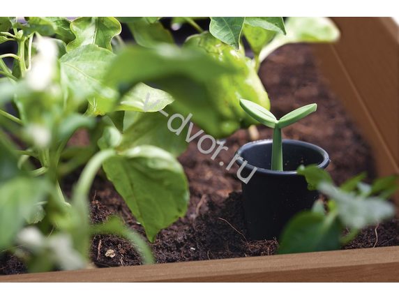 Кашпо-Грядка keter  Darwin elevated Garden Bed Pro (with shelf), коричневый