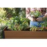 Кашпо-Грядка keter  Darwin elevated Garden Bed Pro (with shelf), коричневый