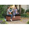 Сундук Darwin Box 380L коричневый